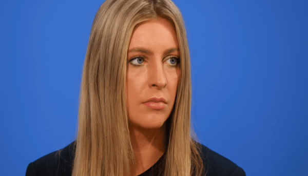Ava Santina evans wikipedia: Biography, Background, Career, and Public Interest Explained